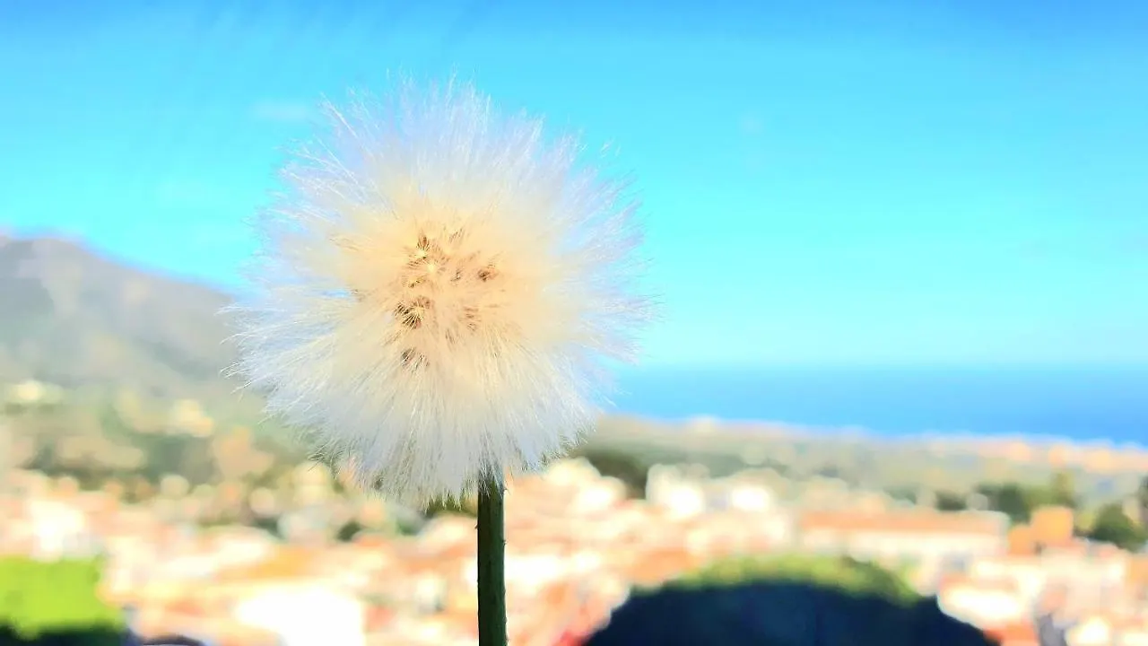 Aa Guest - El Mirador De Mijas Con Vistas Al Mar Apartment Spain